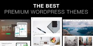 Premium WordPress Themes